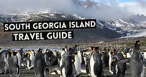 SOUTH GEORGIA ISLAND Travel Guide | Cruises and Everything you need to know