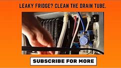 Repairing water leak inside fridge: Freezing drain vs. clogged drain line