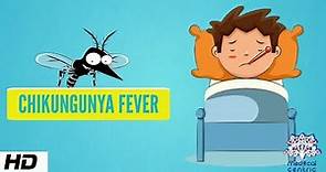 Chikungunya Fever, Causes, Signs and Symptoms,Diagnosis and Treatment.