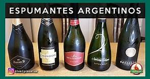 🍾 Mejores ESPUMANTES Argentinos (Probando 5 champagnes)
