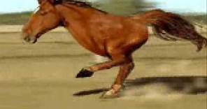 2 Legged Horse Running