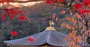 Kinkaku-ji Temple in Kyoto - Fall foliage
