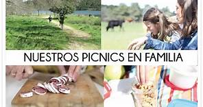 Ideas y consejos para preparar un picnic