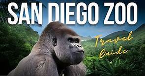 San Diego Zoo FULL TOUR: the 10 Best Things to Do [4k]