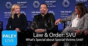 Law & Order: SVU - What's Special about Special Victims Unit?