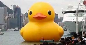 Rubber Duck Project (Hong Kong Tour) 橡皮鴨游世界‧香港站