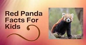 Red Panda Facts For Kids