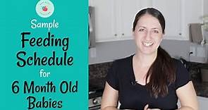 Sample 6 Month Old Baby Feeding Schedule | Baby Led Weaning