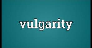Vulgarity Meaning