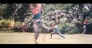 The Shaolin Temple (1982) original trailer