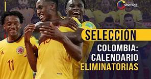 La Selección Colombia ya tiene fechas y rivales para las próximas Eliminatorias al Mundial 2026
