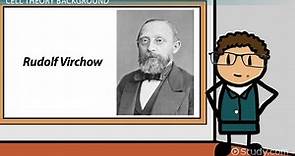 Rudolf Virchow | Theories, Discoveries & Contributions