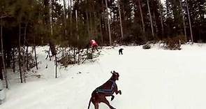 Skijoring with Mike Christman and Ridge