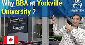 BBA at Yorkville University, Canada | Best UG Program | Best University ​for Canada Study Visa