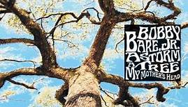Bobby Bare Jr: A Storm, A Tree, My Mother's Head
