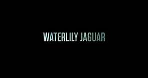 Waterlily Jaguar | Official Trailer (HD)