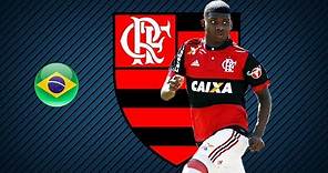 LINCOLN | Flamengo | Goals, Skills, Assists | 2017/2018 (HD)