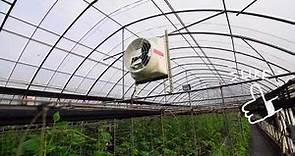 『順帆風機』-溫室通風規劃工程–實例應用-番茄園/小黃瓜/牛番茄