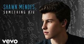 Shawn Mendes - Something Big (Official Audio)