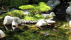 Relaxation - Sounds of Nature - Koi Pond and Waterfall - 2 Hours