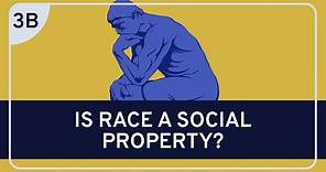 PHILOSOPHY - Race: Racial Ontology #3b (Sociohistorical Theories of Race)