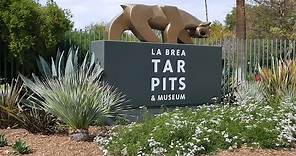 La Brea Tar Pits Museum Tour & Fossils (HD)