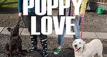 Puppy Love: Episode 4