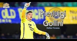 Pierluigi Gollini ● Hellas Verona ● 2015/16