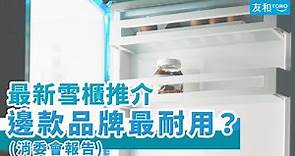 【2020雪櫃選購指南】邊款雪櫃品牌最耐用？（附消委會報告)