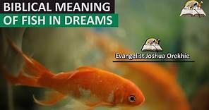 Biblical Meaning of FISH in Dream - Mark 1:17 Prophetic Meaning of Fish