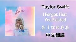 Taylor Swift - I Forgot That You Existed 忘了你的存在 lyrics 中英歌詞 中文翻譯