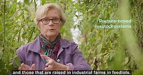 Pasture-based livestock... - Congresswoman Chellie Pingree
