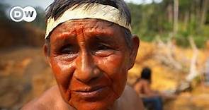Brazil's indigenous people: 'All of those trees had lives' | DW Stories