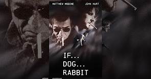 If... Dog... Rabbit