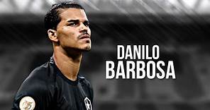 Danilo Barbosa • Highlights • 2023 | HD