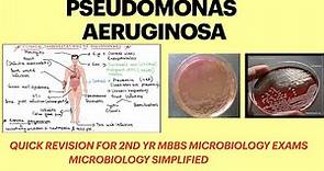 Pseudomonas aeruginosa | Pseudomonas infection | pseudomonas lab diagnosis | microbiology | MBBS |