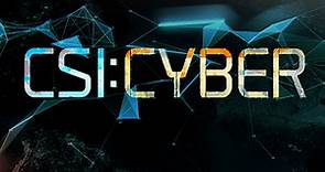 CSI: Cyber (Serie TV 2015 - 2016): trama, cast, foto, news