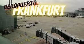 Aeropuerto de Frankfurt. Conoce lo que necesitas saber sobre uno de los más importantes de Europa