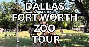 Zoo Tour Dallas / Fort Worth - Walk Around Full Zoo Tour with Zoo Animals - Texas Zoo