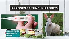 Test for Pyrogens (Rabbit method)