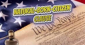 Natural born citizen clause (USA Constitution)⚖️📜🍔⚾🙈👺🤡😬✅