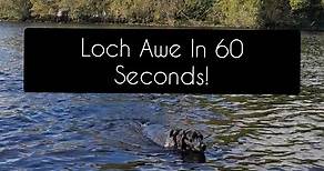 Here's a 60-second tour around Loch Awe, Scotland's largest freshwater loch! If you've ever driven to Oban then there's a good chance you've skirted a short section of the loch, most people do at least stop at Kilchurn Castle or St Conans Kirk (the glaring omission from this video but my footage has gone mysteriously missing...) Once you've left the main road after Bridge of Awe, things get a lot quieter. You'll find woodland walks, sweeping views and great coffee at Wild Rowan Cafe in Dalavich