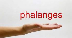 How to Pronounce phalanges - American English