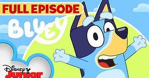 Keepy Uppy / Magic Xylophone / Shadowlands | S1 E1 | Full Episode | Bluey | @Disney Junior