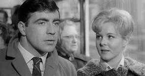 A Kind of Loving: Alan Bates in a clip from John Schlesinger's classic – video