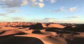 BBC MADNESS IN THE DESERT