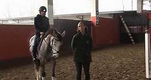 Lezioni Equitazione - Salto ostacoli tecnica equestre - Cavallo 4 anni: i primi salti al galoppo