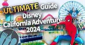 The ULTIMATE Guide to Disney California Adventure in 2024