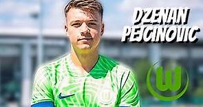 Dzenan Pejcinovic • VFL Wolfsburg• Highlights Video (Goals, Assists, Skills)