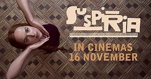 SUSPIRIA | Official UK Trailer #2 | MUBI